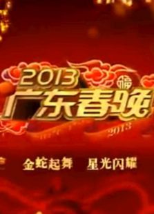 2013广东卫视春节联欢晚会