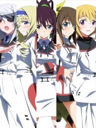 InfiniteStratos全集