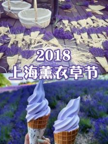 2018上海薰衣草节