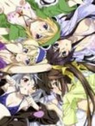 点击播放《Infinite Stratos-》