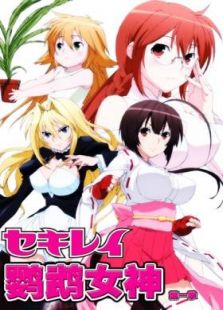 鹡鸰女神-第1季