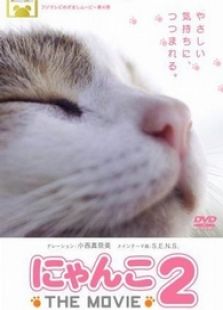 猫咪物语