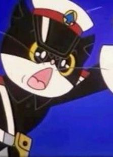 黑猫警长免费观看
