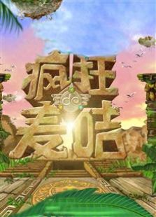 疯狂的麦咭第一季