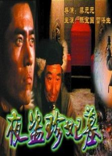 夜盗珍妃墓完整版