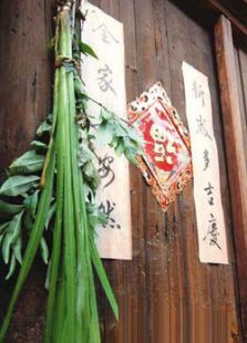 艾草仙姑完整版