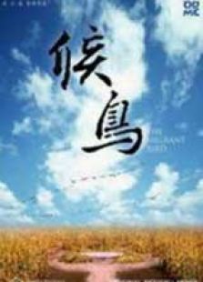 候鸟上微电影