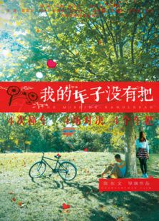 我的车子没有把