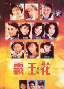 罗芙洛 类型:剧情动作 上映:2001 更新:2017-06-17 11:29:15 霸王花