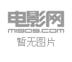 火药牌女友完整版