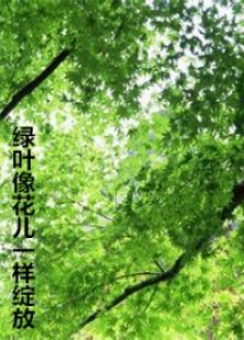 绿叶的绽放像花儿一样免费观看