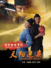 侠侣探案之天阳迷案完整版