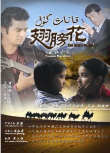 翅膀花完整版