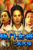 杨门女将之昊天塔完整版