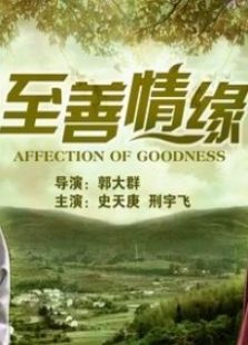 至善情缘完整版