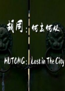 胡同何去何从免费观看