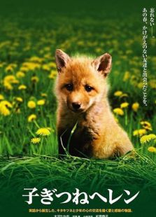 生命奇迹小狐狸完整版