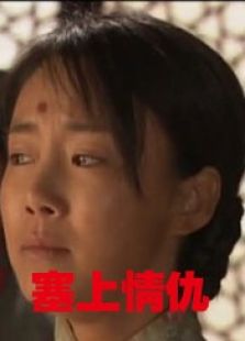 塞上情仇完整版