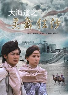 大海道之灵舞狂沙完整版