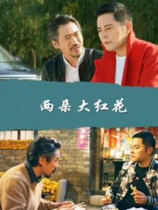 两朵大红花完整版