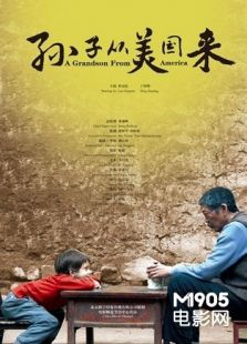 孙子从美国来完整版