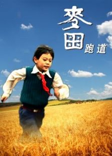 麦田跑道