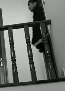 与另一条狗微电影