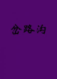 岔路沟微电影