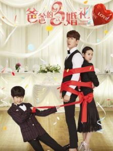 爸爸的3次婚礼完整版