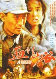 血性山谷完整版