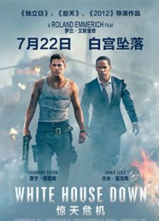 《惊天危机》明星推荐完整版