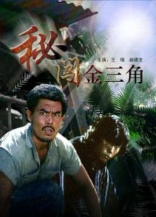 秘闯金三角完整版