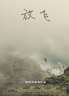 放飞免费观看