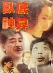 卧底神算粤语完整版