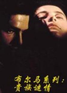 布尔马系列贵族谜情