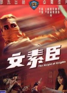 文素臣完整版