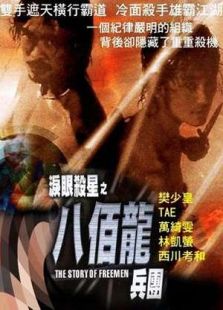 泪眼杀星之八百龙军团完整版