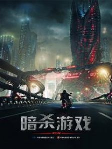 暗杀游戏国语版