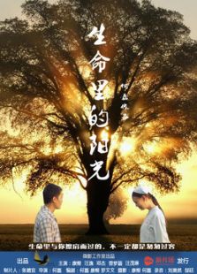 生命里的阳光微电影