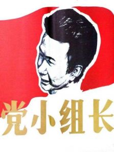 党小组长完整版