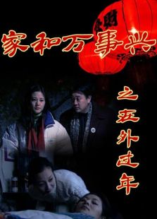 在外过年电视剧全集