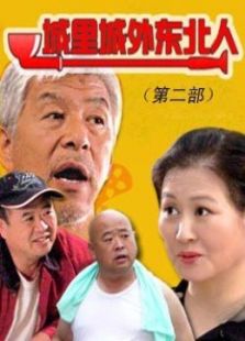 城里城外东北人[第2部]