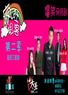 疯狂租客第二季电视剧全集