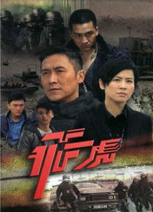 飞虎国语版电视剧全集