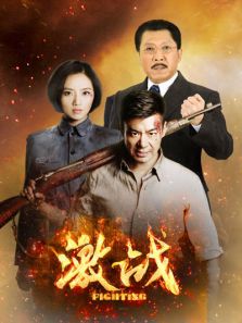 激战DVD版电视剧全集