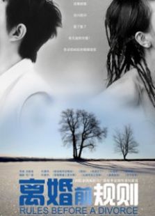离婚前规则[未删减版]