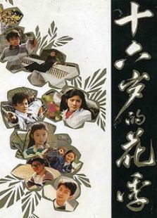 十六岁的花季电视剧全集