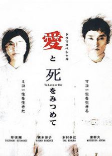 凝视爱与死电视剧全集