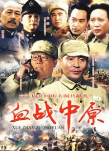 血战中原 第一部