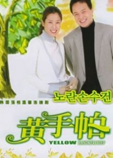 黄手帕国语版电视剧全集